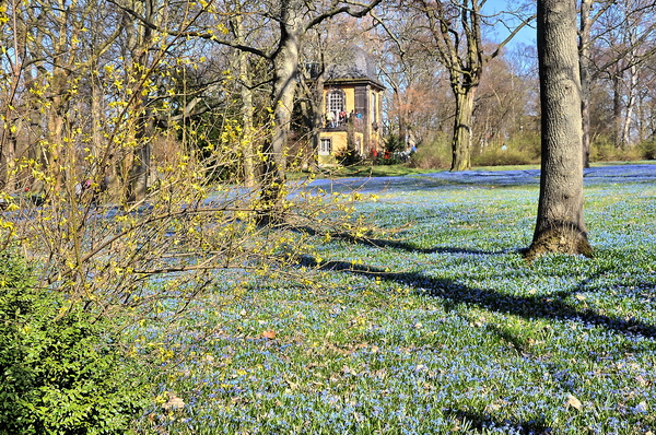 Fruehling2012   042.jpg